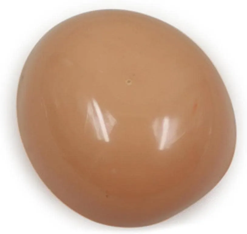 12inch Doll Soft Head Scalp for Neo Blythe Nude Doll Custom, Light Tanned
