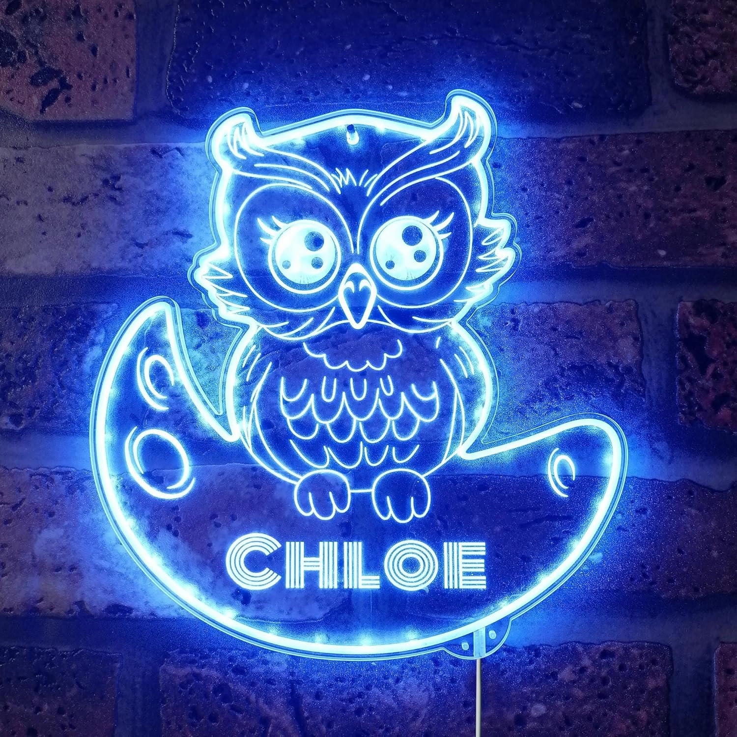ADVPRO Name Personalized Owl RGB Dynamic Glam LED Sign - Cut-to-Edge Shape - Smart 3D Decoration - Multicolor Signage - st06s44-fnd-p0019-tm