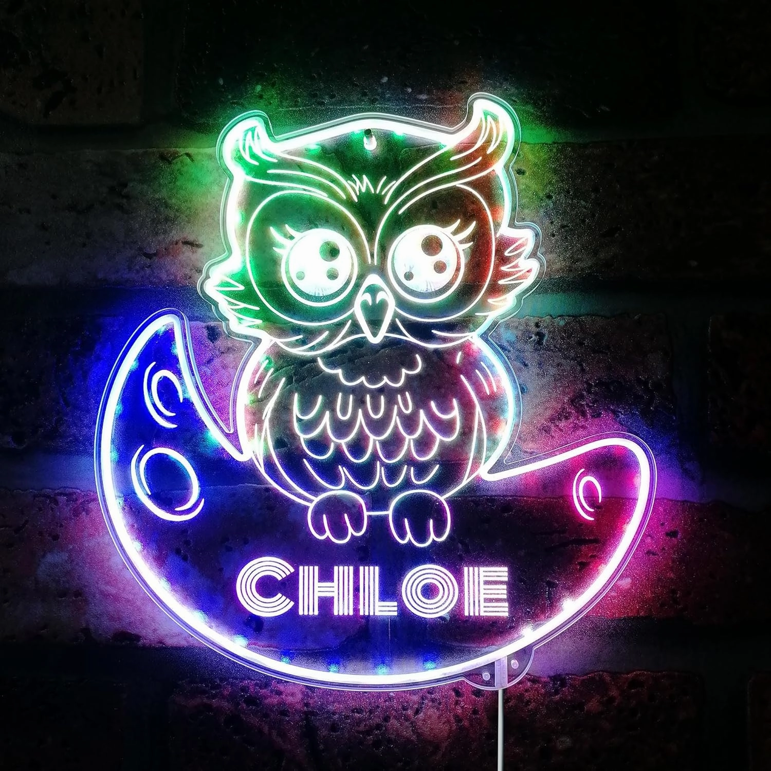 ADVPRO Name Personalized Owl RGB Dynamic Glam LED Sign - Cut-to-Edge Shape - Smart 3D Decoration - Multicolor Signage - st06s44-fnd-p0019-tm