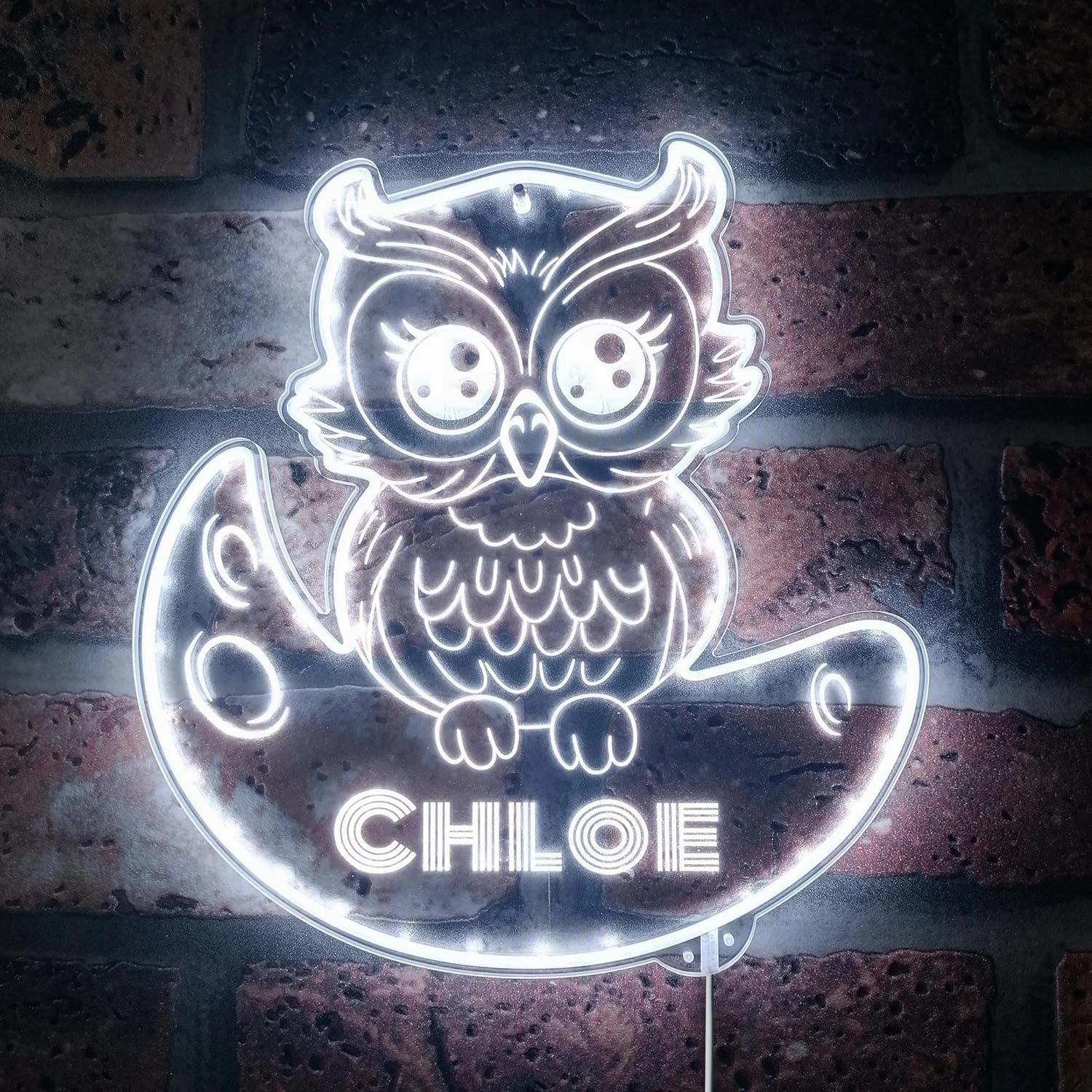 ADVPRO Name Personalized Owl RGB Dynamic Glam LED Sign - Cut-to-Edge Shape - Smart 3D Decoration - Multicolor Signage - st06s44-fnd-p0019-tm