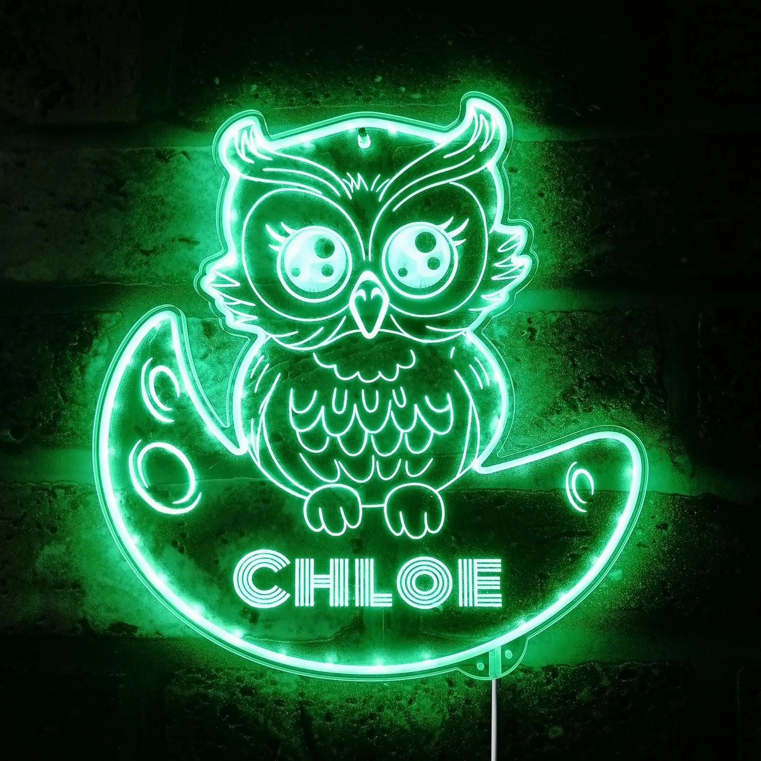 ADVPRO Name Personalized Owl RGB Dynamic Glam LED Sign - Cut-to-Edge Shape - Smart 3D Decoration - Multicolor Signage - st06s44-fnd-p0019-tm