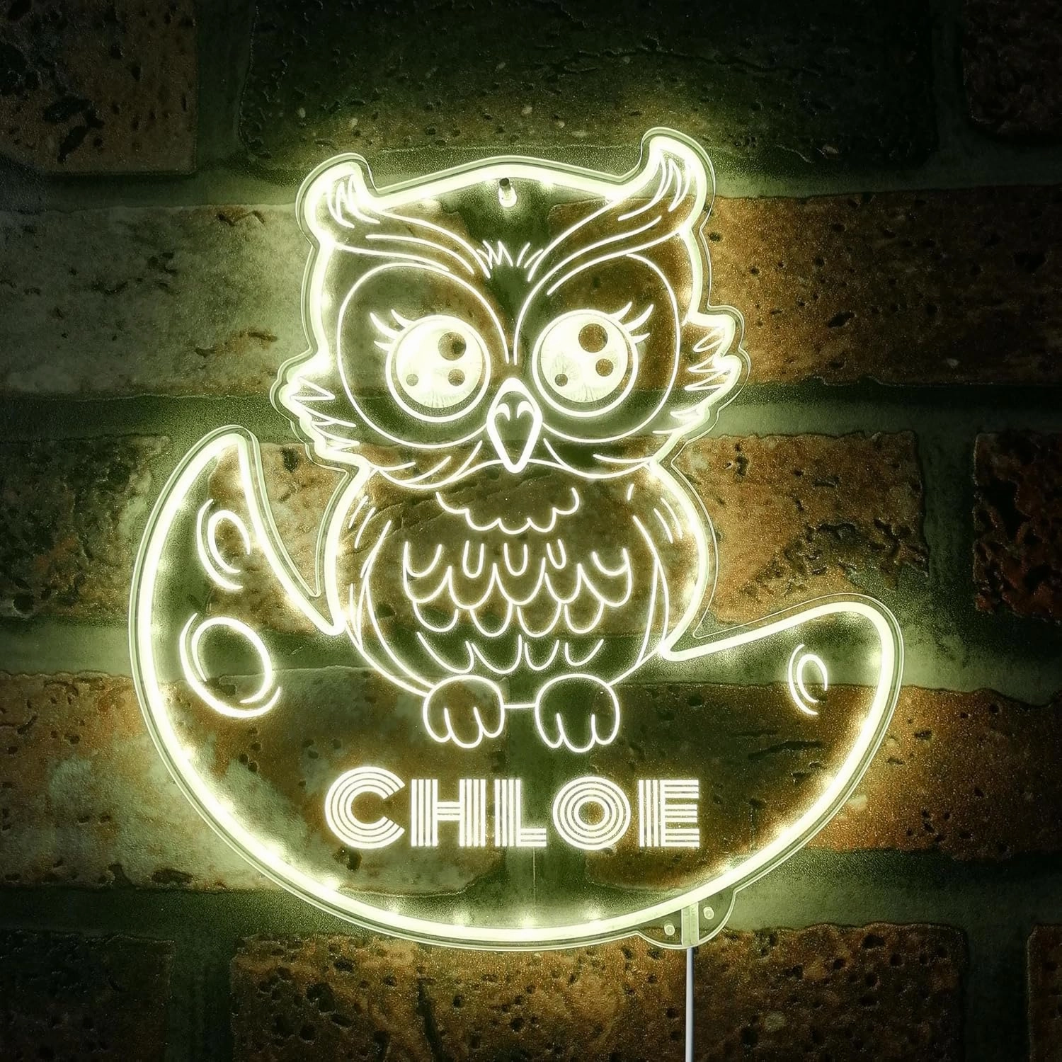 ADVPRO Name Personalized Owl RGB Dynamic Glam LED Sign - Cut-to-Edge Shape - Smart 3D Decoration - Multicolor Signage - st06s44-fnd-p0019-tm