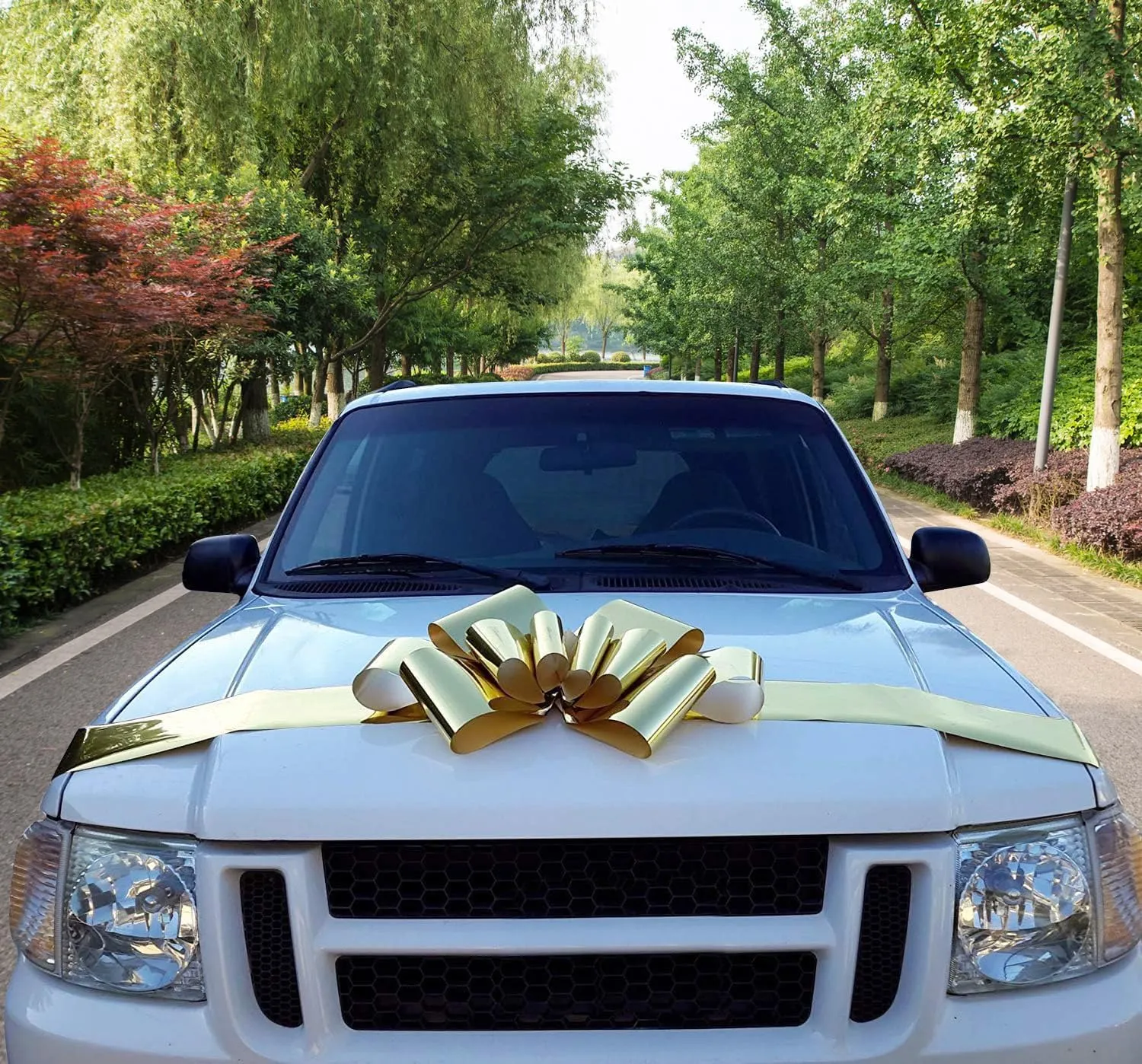 Big Metallic Gold Car Bow - 25" Wide, Large Ribbon Decoration, Fully Assembled, Mardi Gras, Birthday, Fundraiser, Party Decor, Graduation