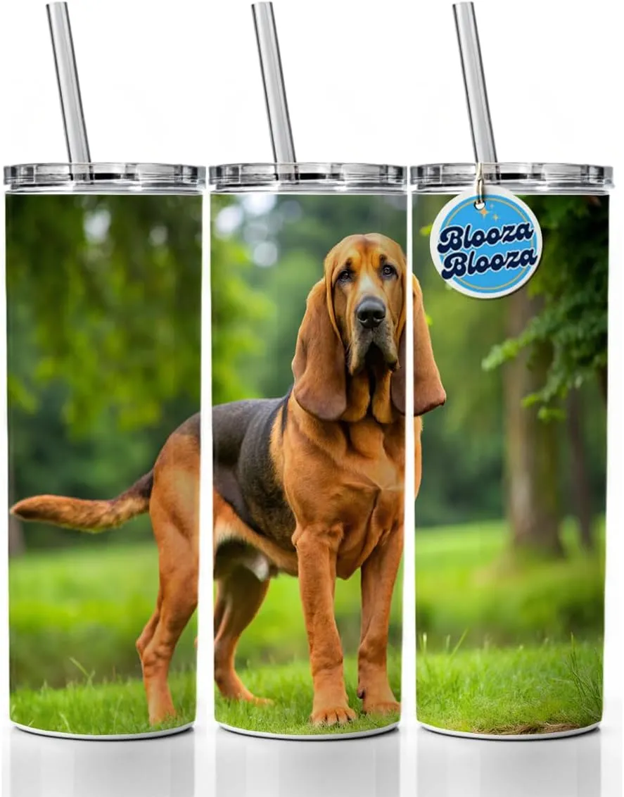 Bloodhound Dog Photo Skinny Tumbler 20oz with Straw Insulated Water Bottle Gift