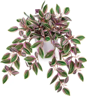 Briful Faux Plants Indoor Fake Potted House Plants Artificial Watermelon Peperomia Hanging Plant for Home Office Bedroom Aesthetic Shelf Kitchen Decoration(Pink - 1 Pack)