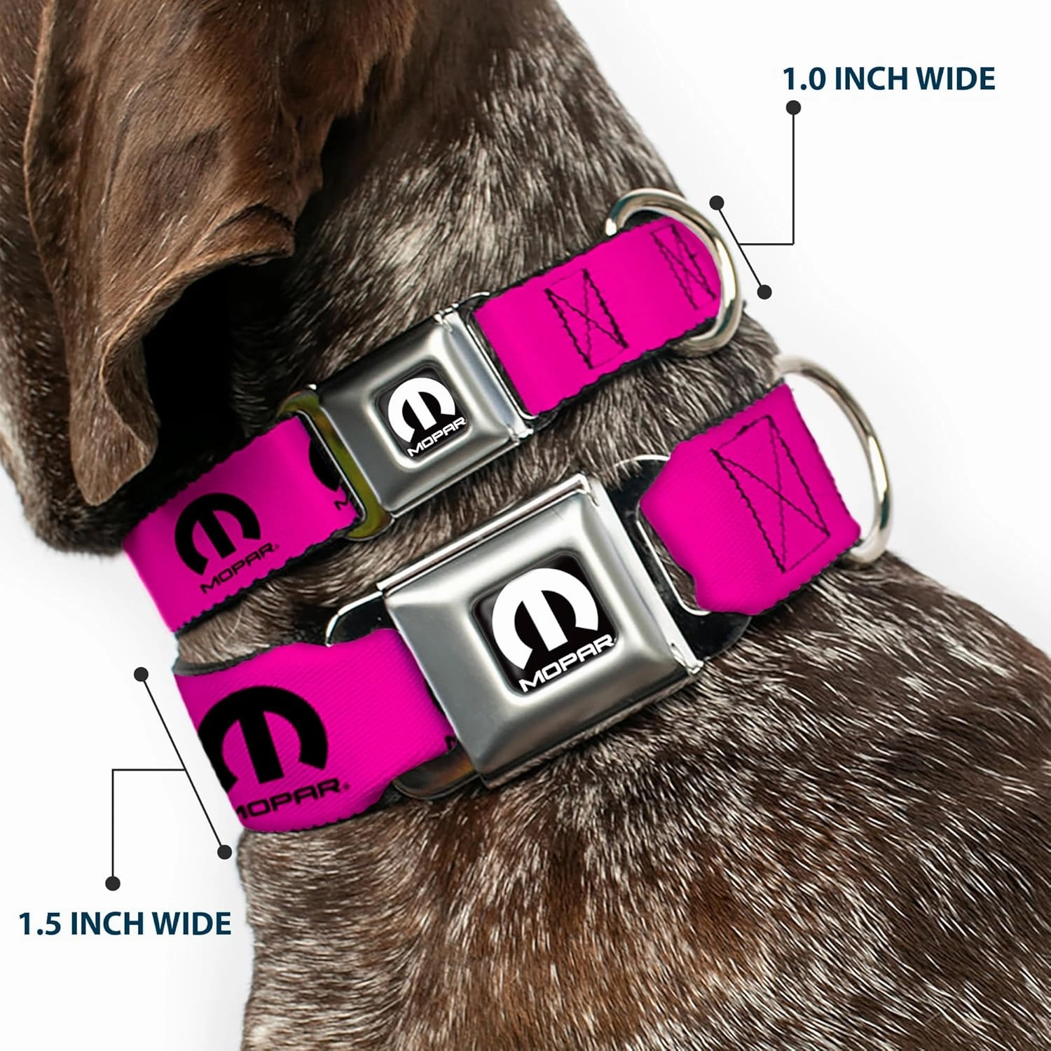 Buckle-Down Dog Collar Seatbelt Buckle Mopar Logo Repeat Hot Pink Black, Multicolor, 1.5"" Wide - fits 16-23"" Neck - Medium (DC-WMP013-WM)