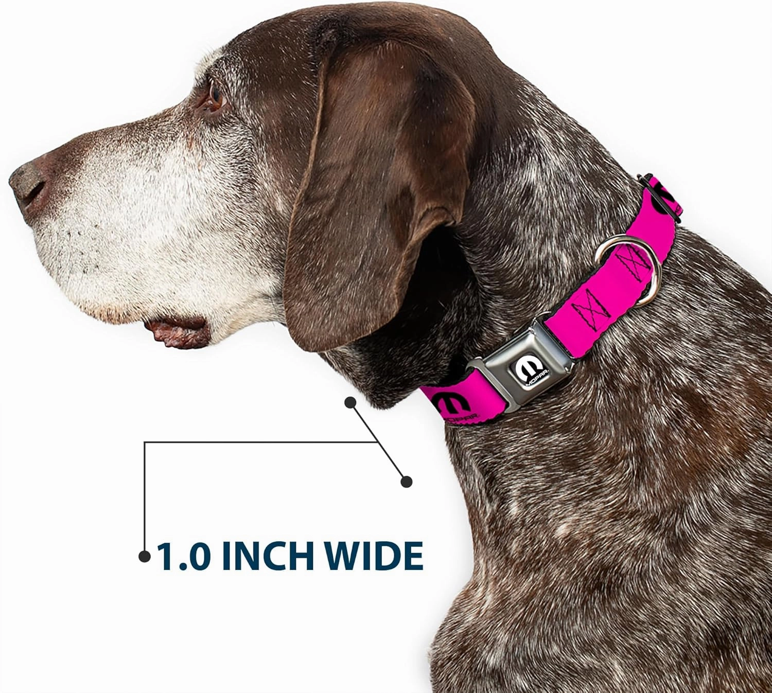 Buckle-Down Dog Collar Seatbelt Buckle Mopar Logo Repeat Hot Pink Black, Multicolor, 1.5"" Wide - fits 16-23"" Neck - Medium (DC-WMP013-WM)