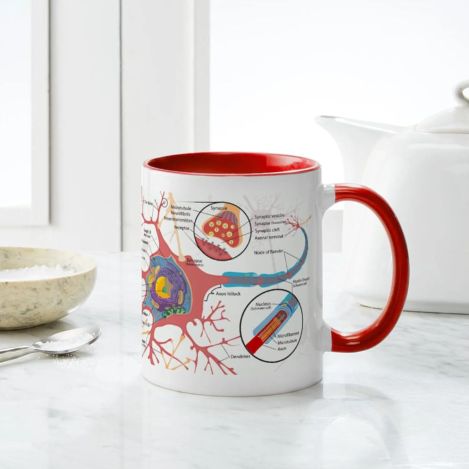 CafePress Neuron Cell Diagram Mugs 11 oz (325 ml) Ceramic Coffee Mug