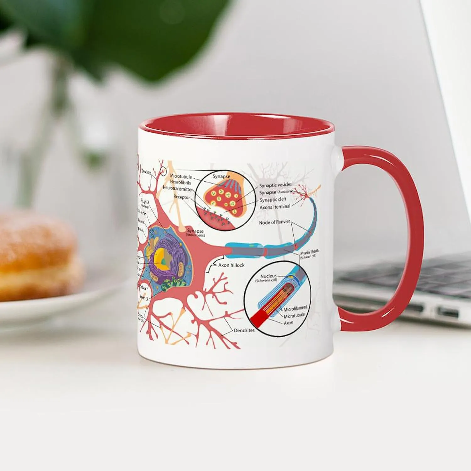 CafePress Neuron Cell Diagram Mugs 11 oz (325 ml) Ceramic Coffee Mug