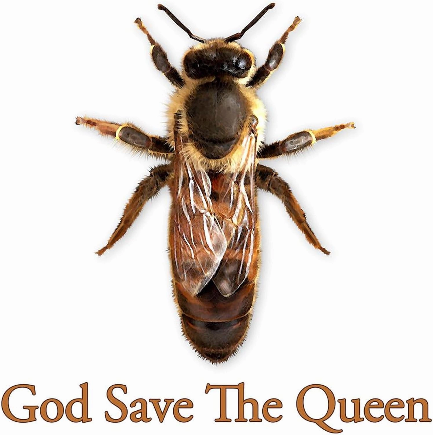 CafePress God Save The Queen (Bee) Mug 11 oz (325 ml) Ceramic Coffee Mug