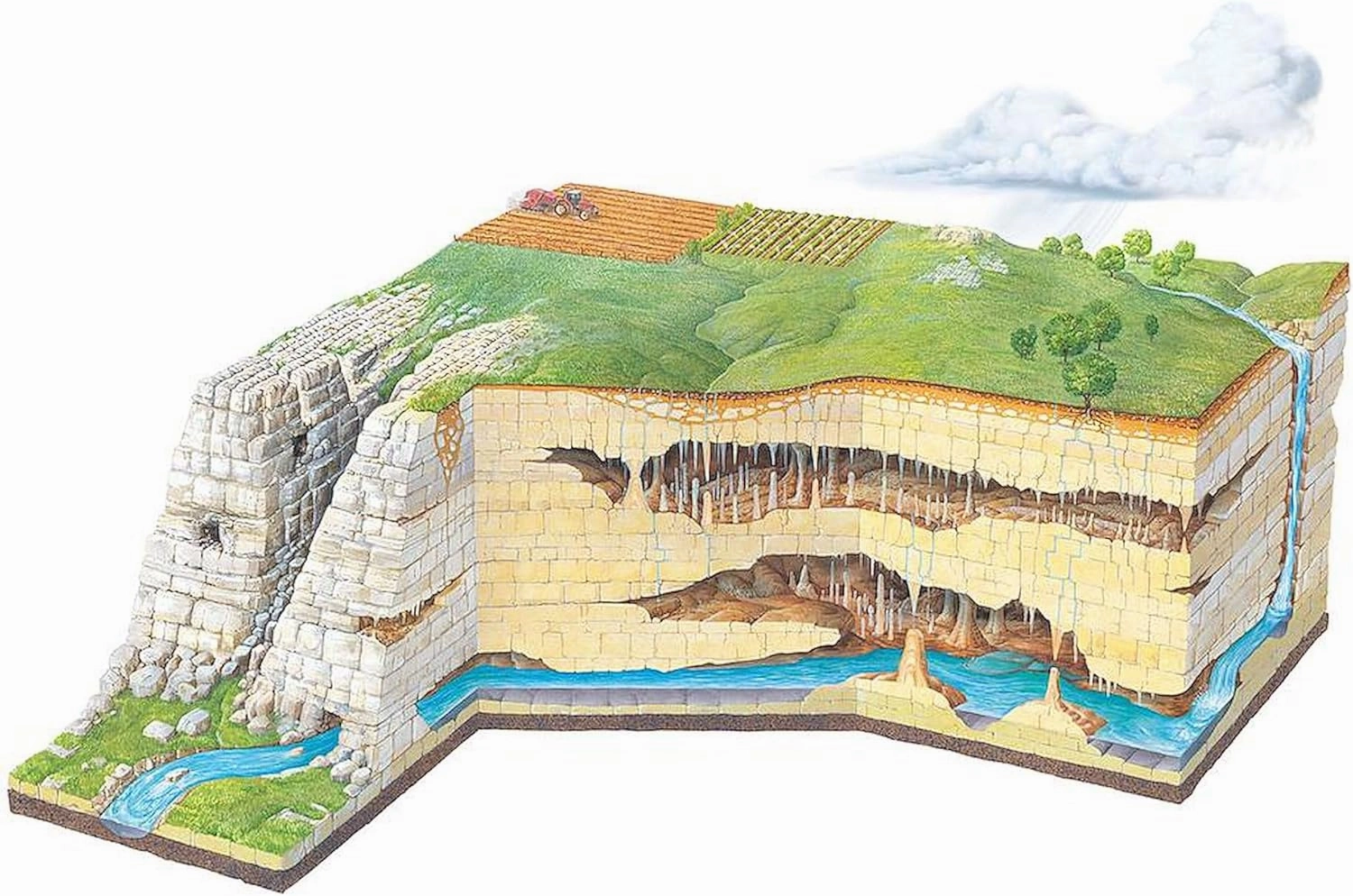 CafePress Karst Landscape Geology Mug 11 oz (325 ml) Ceramic Coffee Mug