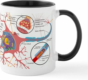 CafePress Neuron Cell Diagram Mugs 11 oz (325 ml) Ceramic Coffee Mug