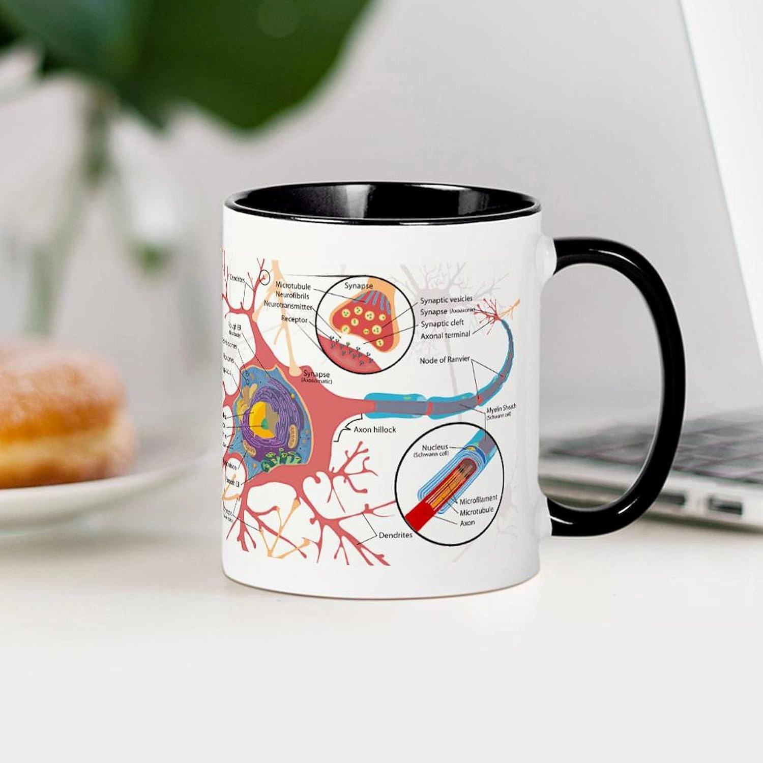 CafePress Neuron Cell Diagram Mugs 11 oz (325 ml) Ceramic Coffee Mug