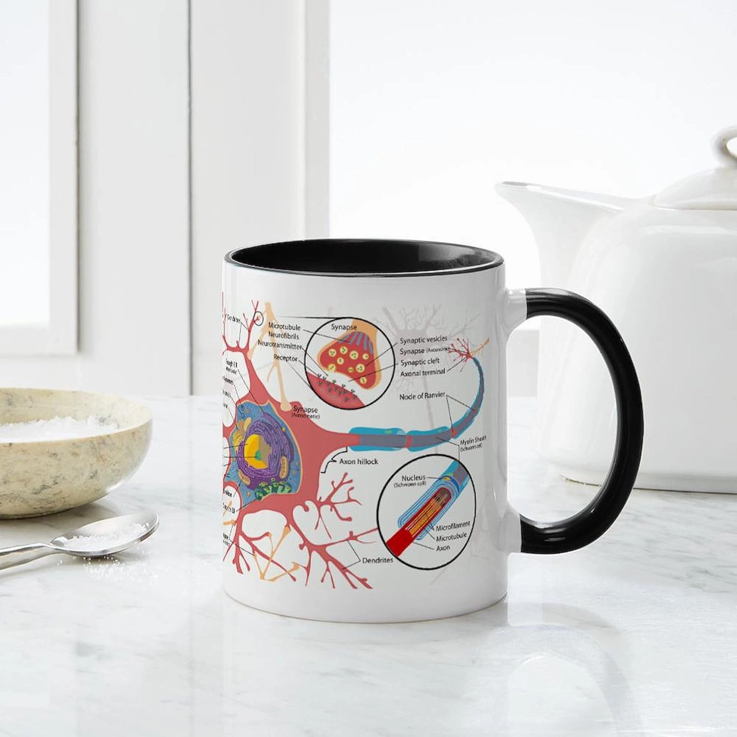 CafePress Neuron Cell Diagram Mugs 11 oz (325 ml) Ceramic Coffee Mug