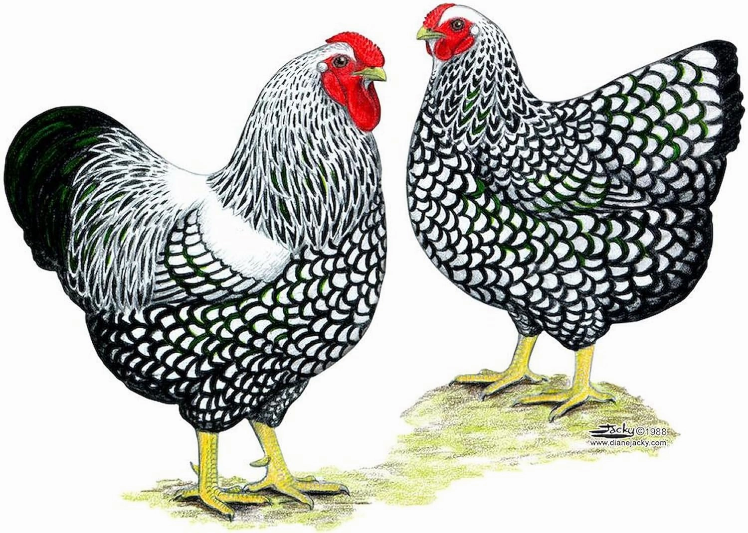 CafePress Wyandottes Silver Laced Pair Mugs 11 oz (325 ml) Ceramic Coffee Mug
