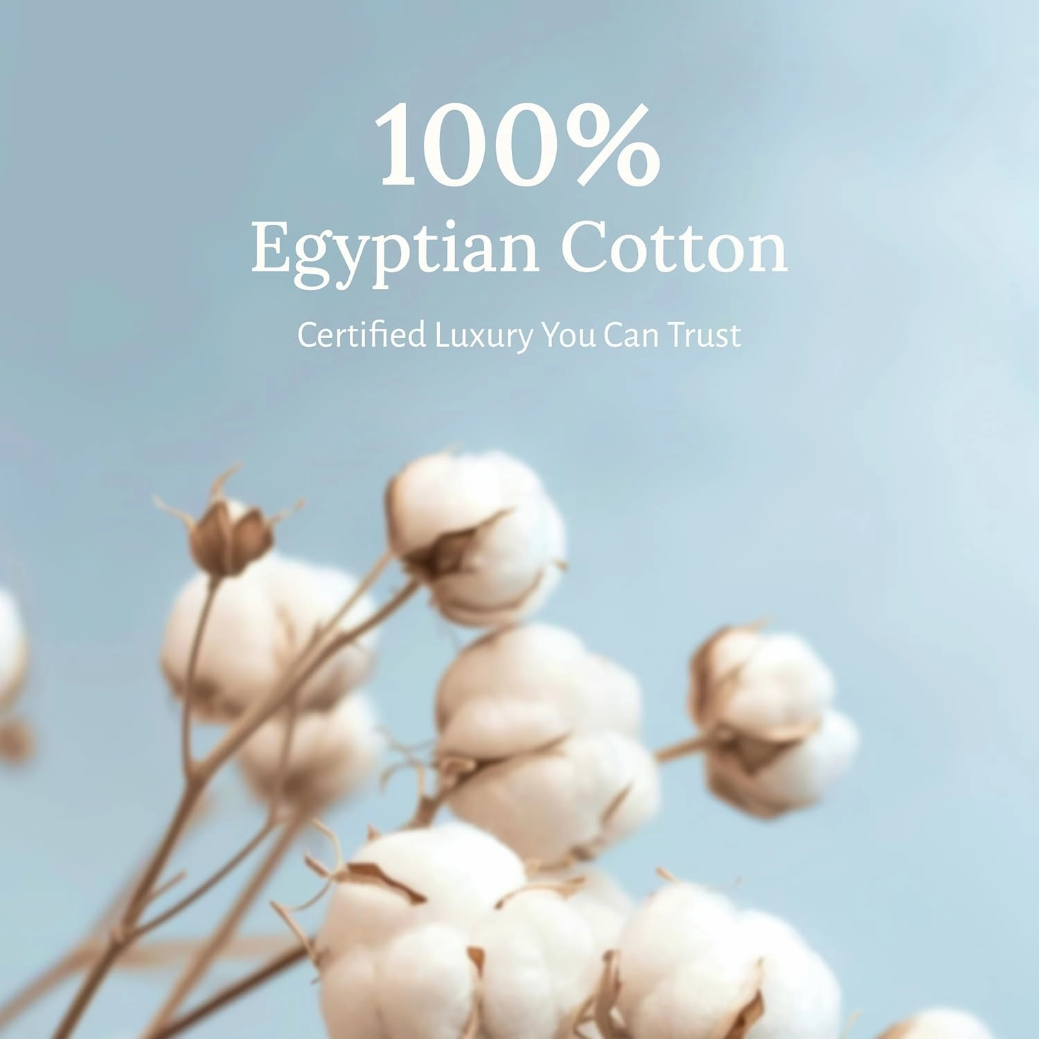 California Design Den Certified Luxury 100% Egyptian Cotton Sheets Set - California King Sheets Deep Pocket Set, Sateen Weave, Soft and Durable Luxury Bedding, Ideal for Hot Sleepers - Beige