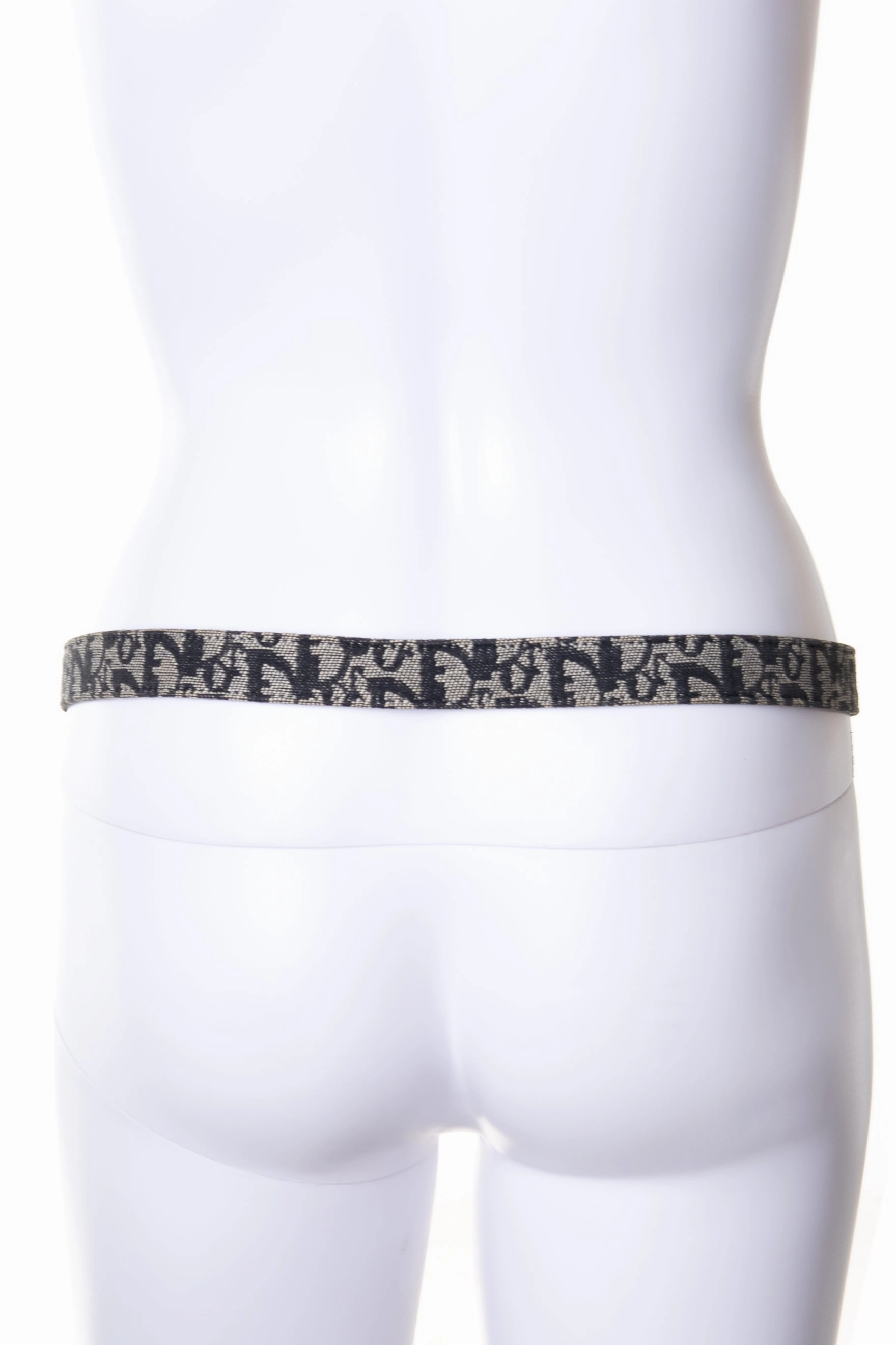 CD Trotter Belt
