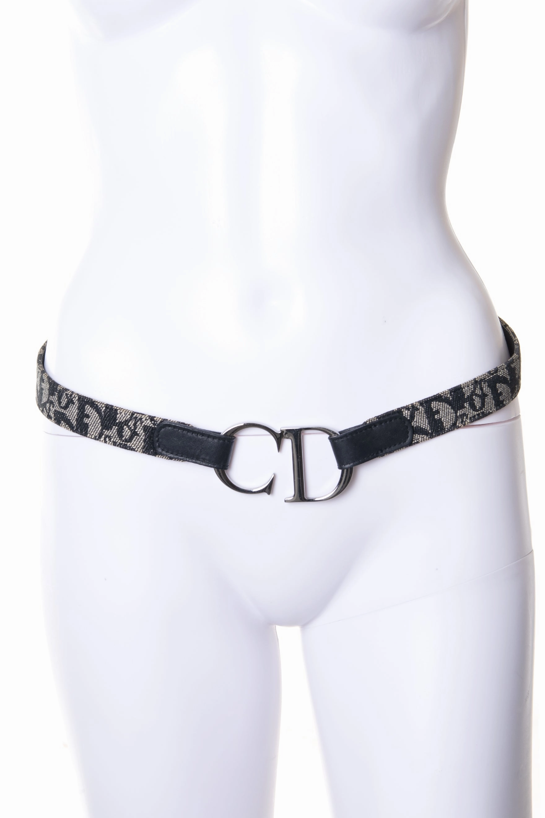 CD Trotter Belt