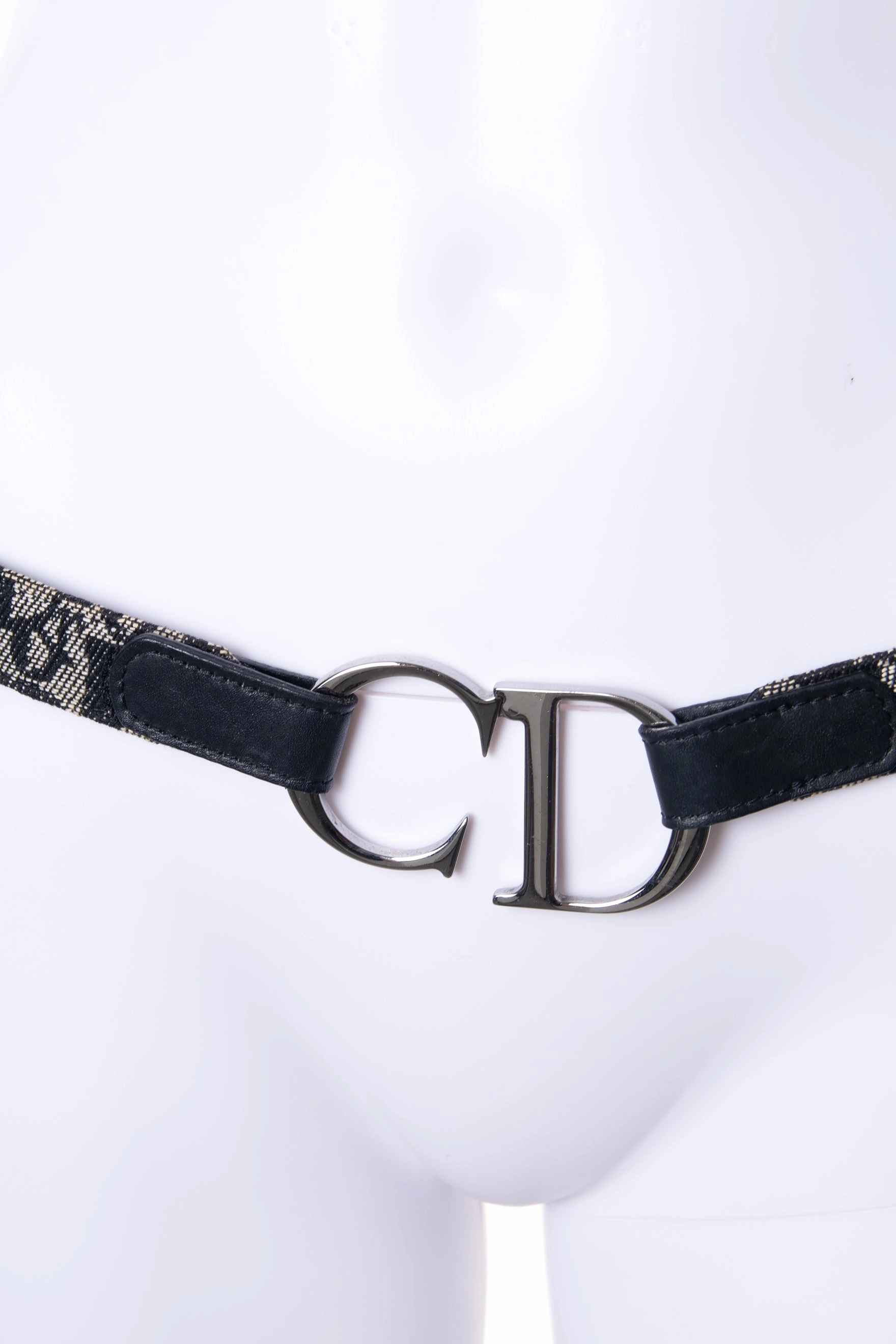 CD Trotter Belt