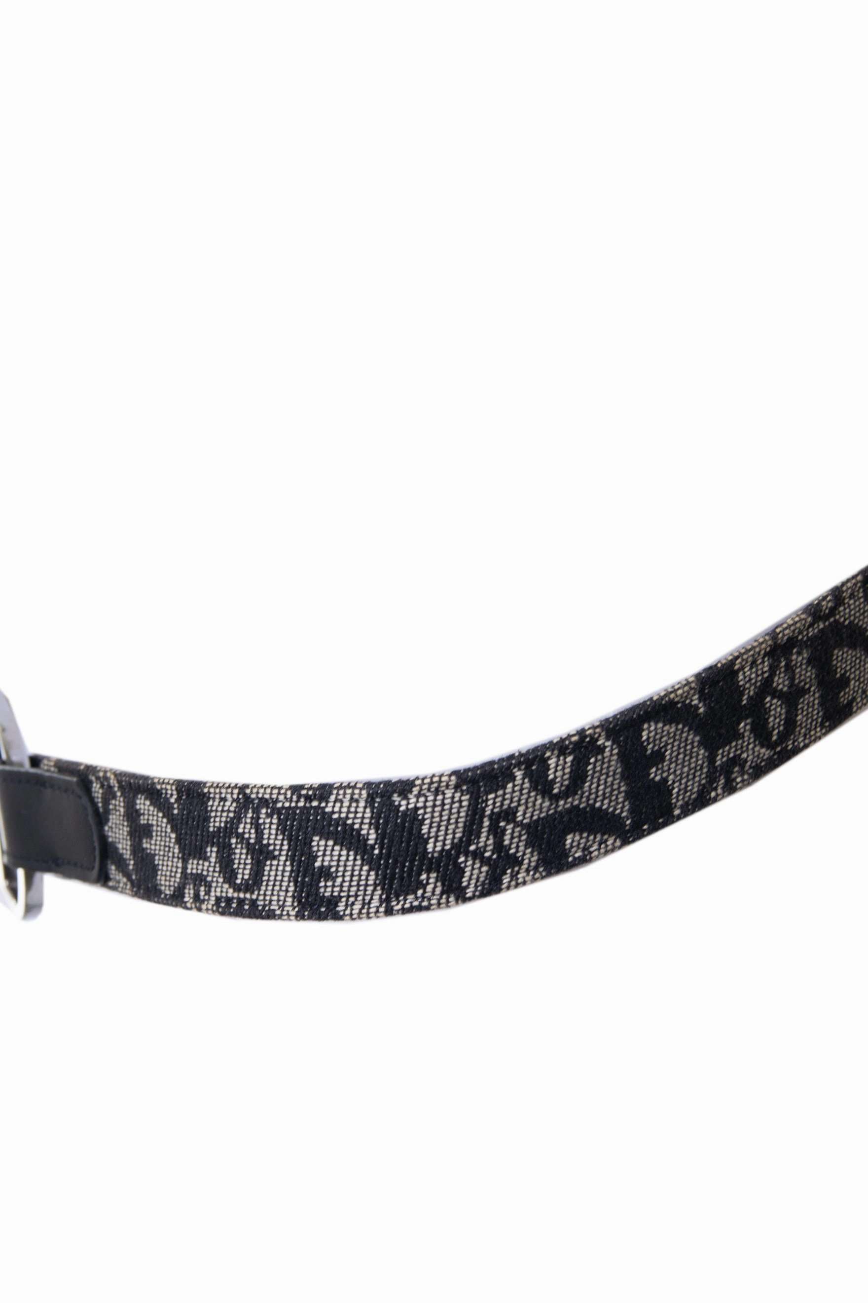 CD Trotter Belt
