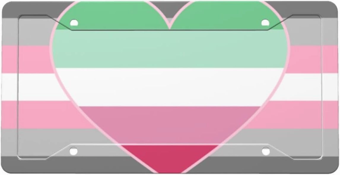 Demigirl Abro-Pride Flag LGBTQ Aluminum License Plate with Accessories Included 12.3 X 6.3 in Decorative