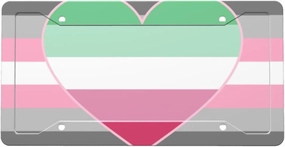 Demigirl Abro-Pride Flag LGBTQ Aluminum License Plate with Accessories Included 12.3 X 6.3 in Decorative