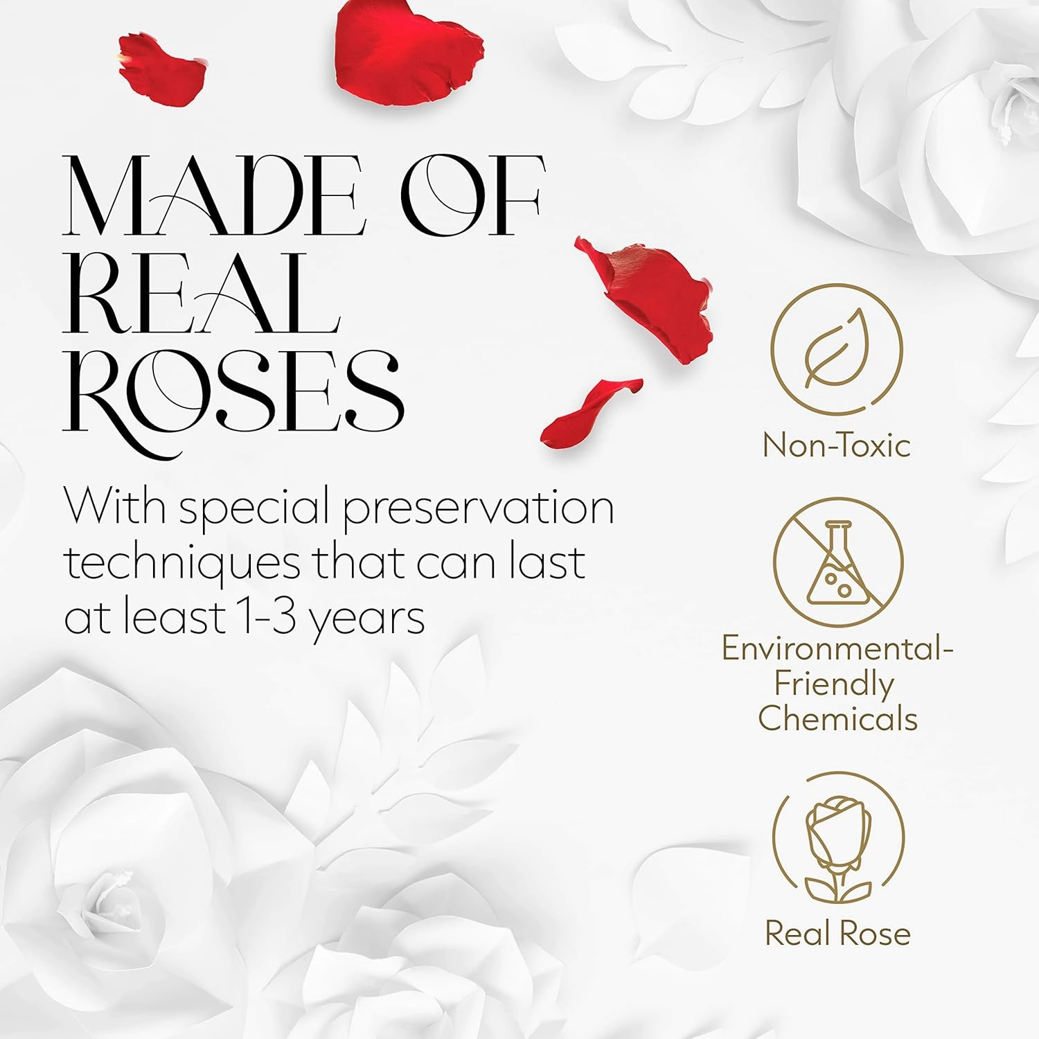 Eternal Preserved Roses in a Box - Flowers Forever, Rose Forever in a Box for Wife, Birthday Gifts for Her, 7 Roses, Red