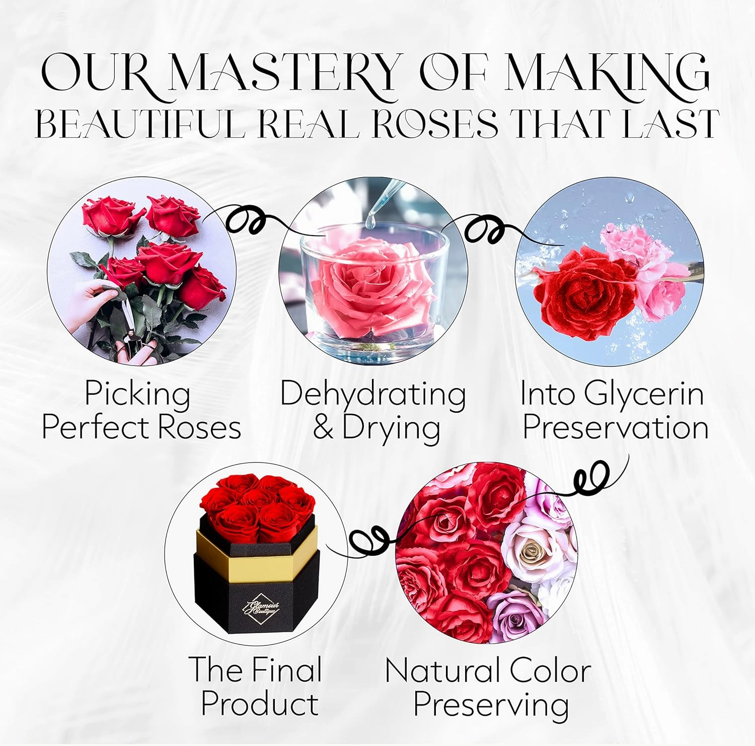 Eternal Preserved Roses in a Box - Flowers Forever, Rose Forever in a Box for Wife, Birthday Gifts for Her, 7 Roses, Red