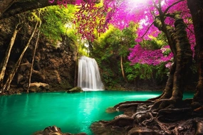 Laminated Colorful Waterfall in Beautiful Tropical Forest Photo Photograph Poster Dry Erase Wall Art 16x24