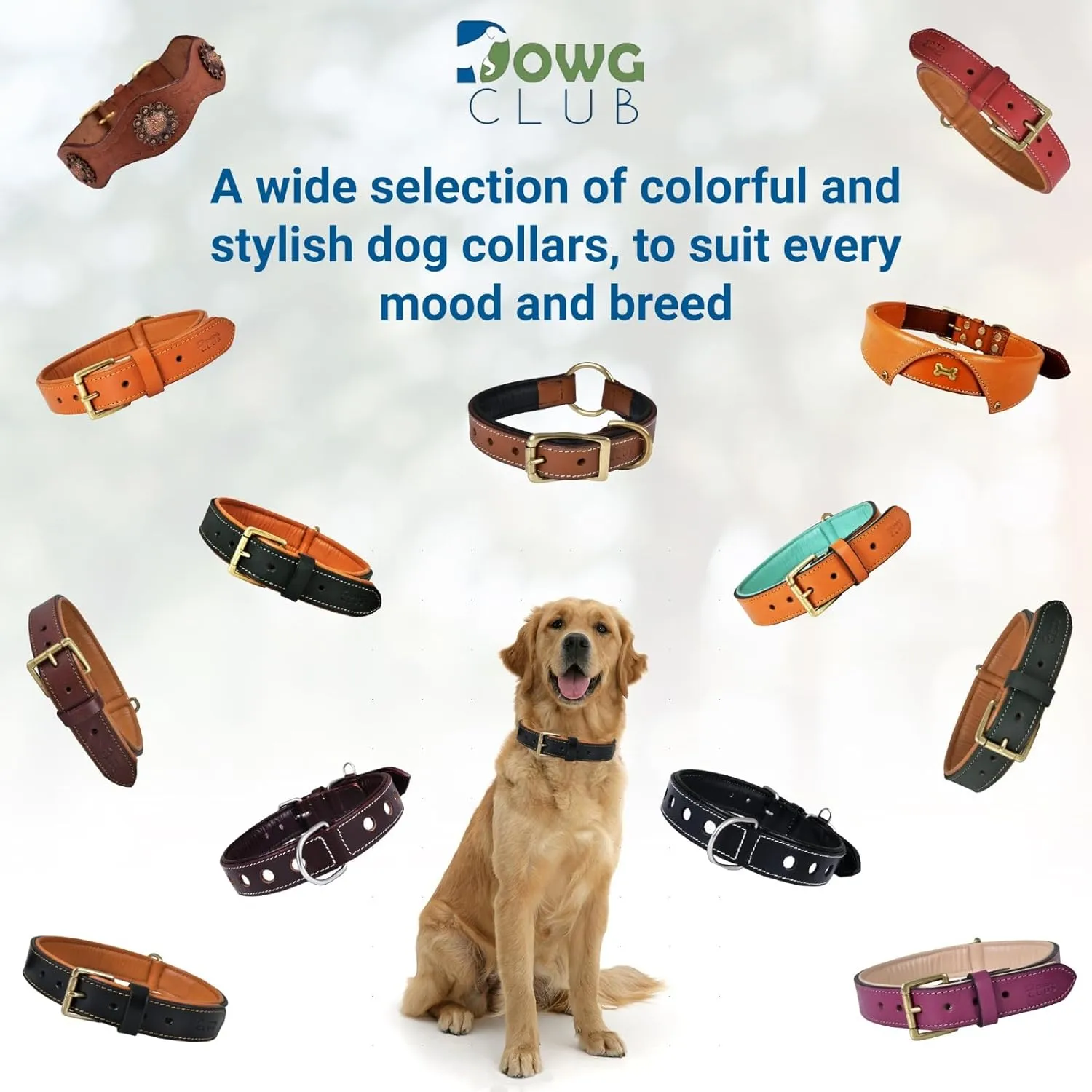 Leather Dog Collar for Medium Dogs, Brown, 1 Inch Wide, Genuine Full Grain Leather, Heavy Duty with Soft Inner Padding, Comfortable and Durable (Medium (Fit Neck Size 14.5"-18.5"), Brown)