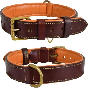 Leather Dog Collar for Medium Dogs, Brown, 1 Inch Wide, Genuine Full Grain Leather, Heavy Duty with Soft Inner Padding, Comfortable and Durable (Medium (Fit Neck Size 14.5"-18.5"), Brown)