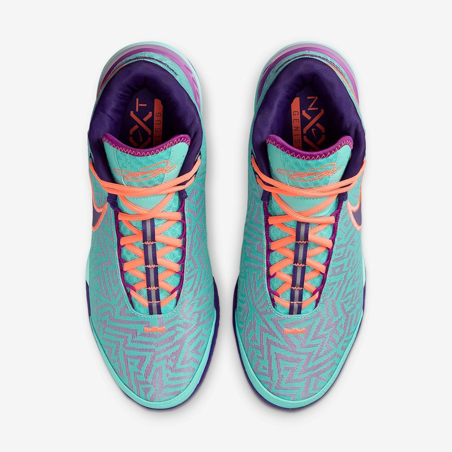 Lebron NXXT Gen AMPD Basketball Shoes (FJ1566-101, Light Orewood Brown/Washed Teal/Metallic Gold)