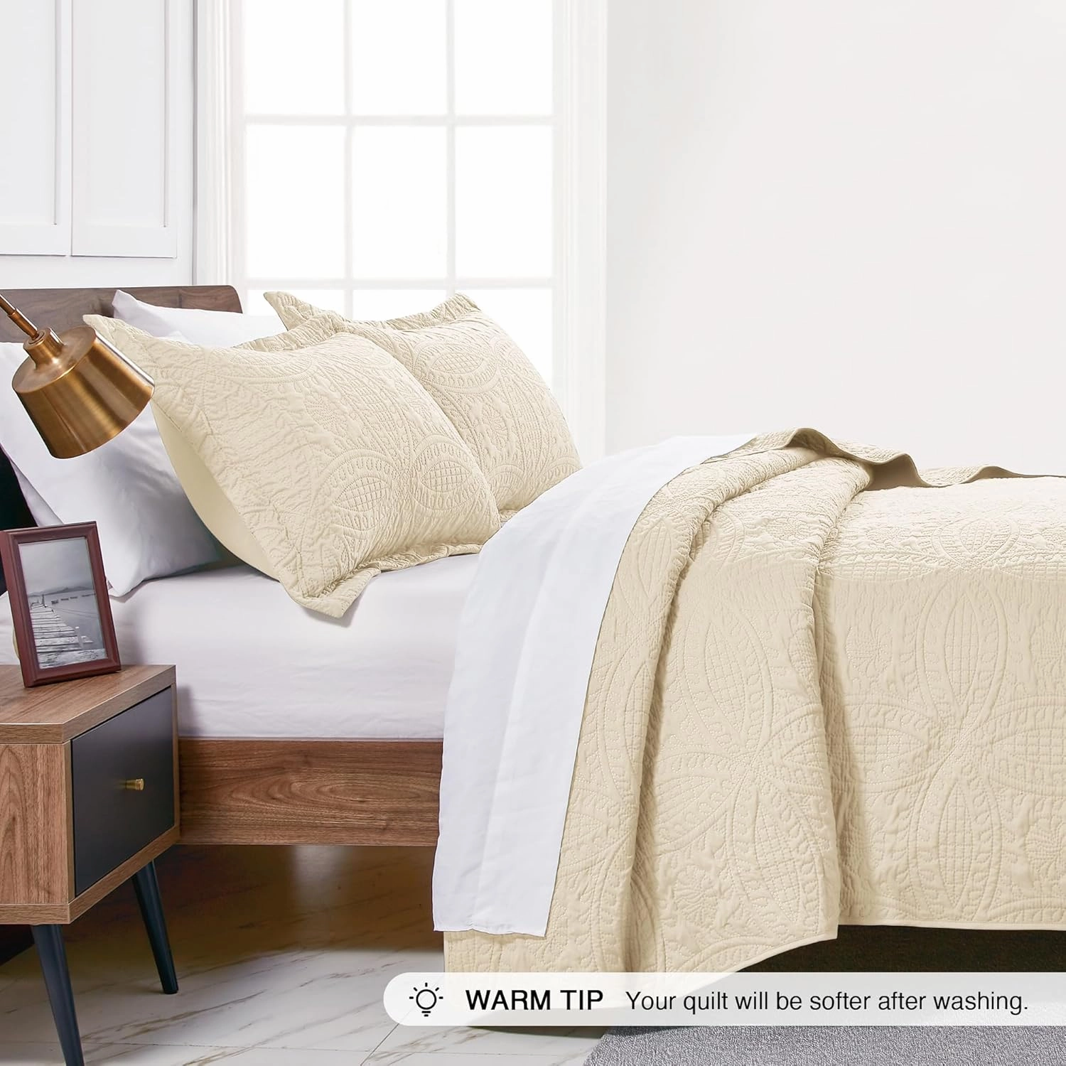 Love's cabin Quilts for Queen Bed Beige Bedspreads Bedding Set - Summer Quilt Lightweight Microfiber Bedspread - Coin Pattern Bedding Coverlet for All Season - 3 Piece (1 Quilt, 2 Pillow Shams)