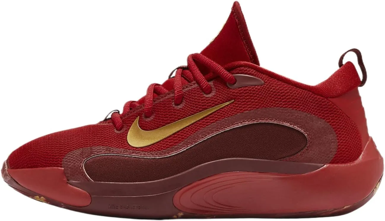 Nike IsoFly Big Kids' Basketball Shoes (FZ7298-600, Gym Red/Team Red/Dark Team Red/Metallic Gold) Size 2.5