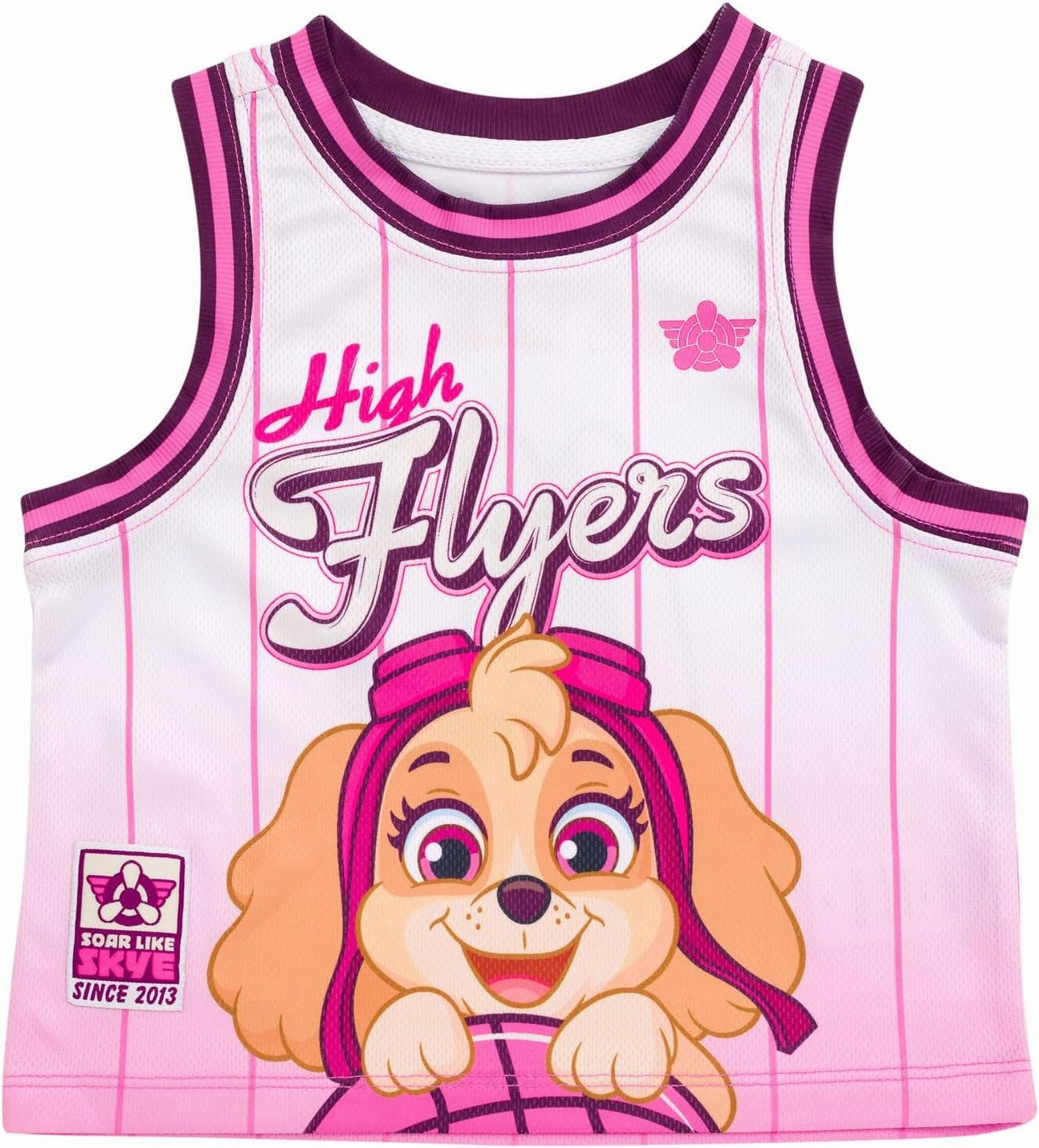Paw Patrol Mesh Jersey Athletic Tank Top and Basketball Shorts Outfit Set Toddler to Big Kid Sizes (2T - 10-12)