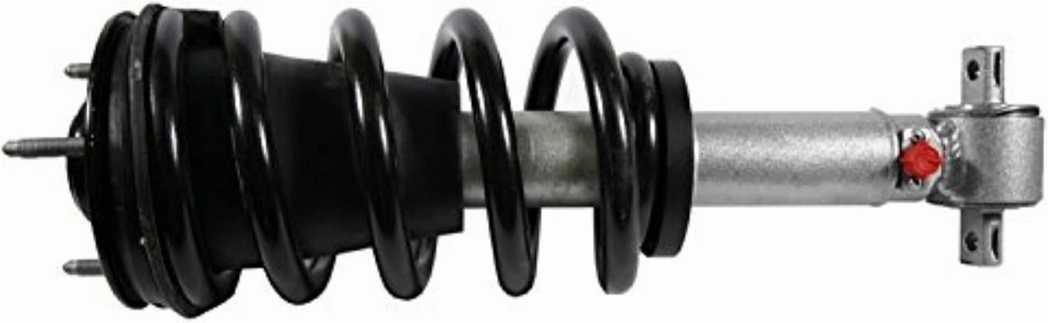 Rancho RS999901 QuickLift Loaded Strut