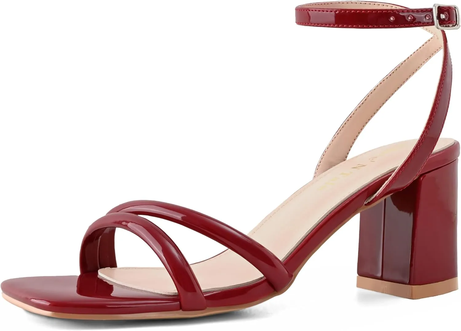 Shoe'N Tale Strappy Heels for Women Square Toe Chunky Block Heels Ankle Buckle Heeled Sandals