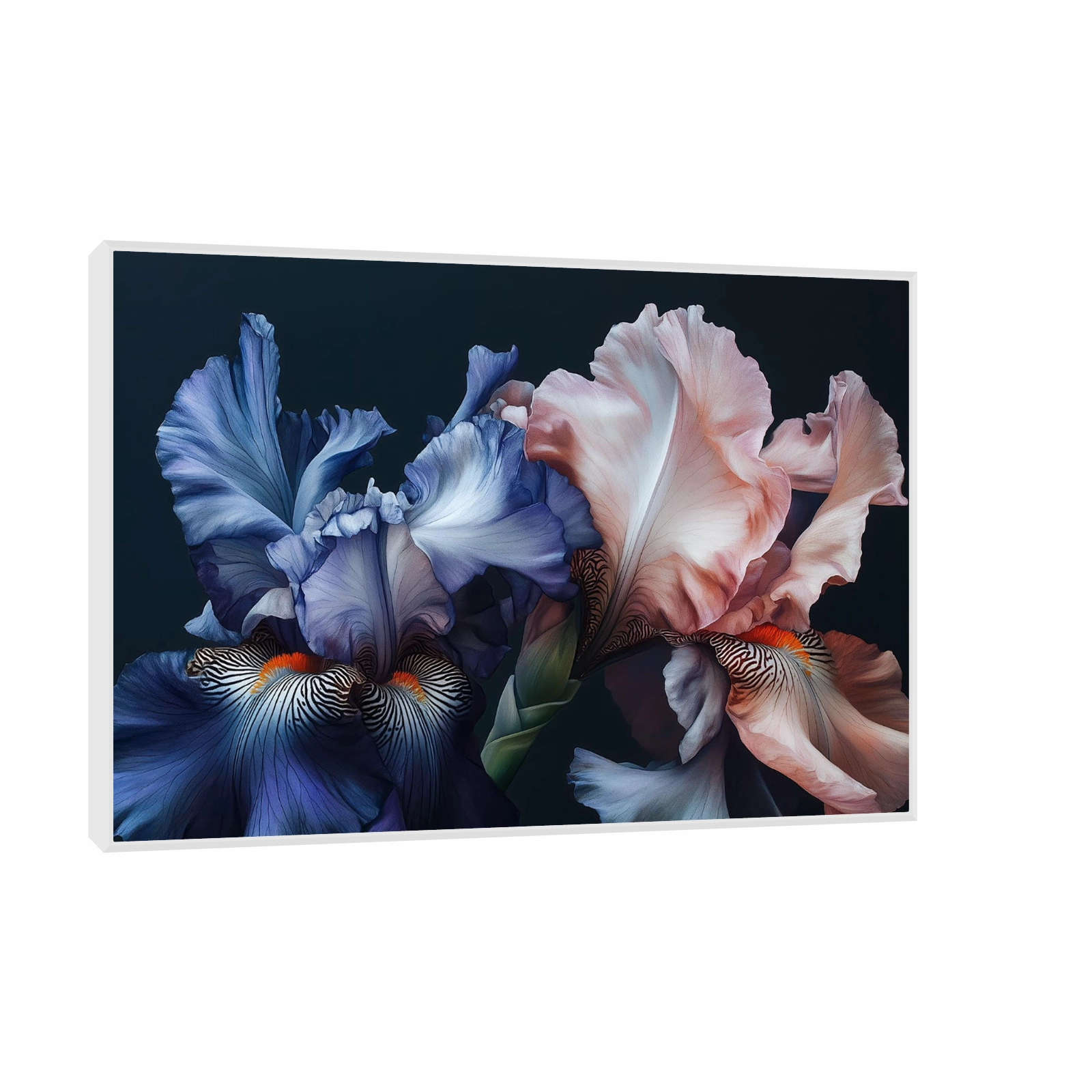 Vibrant Iris