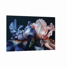 Vibrant Iris
