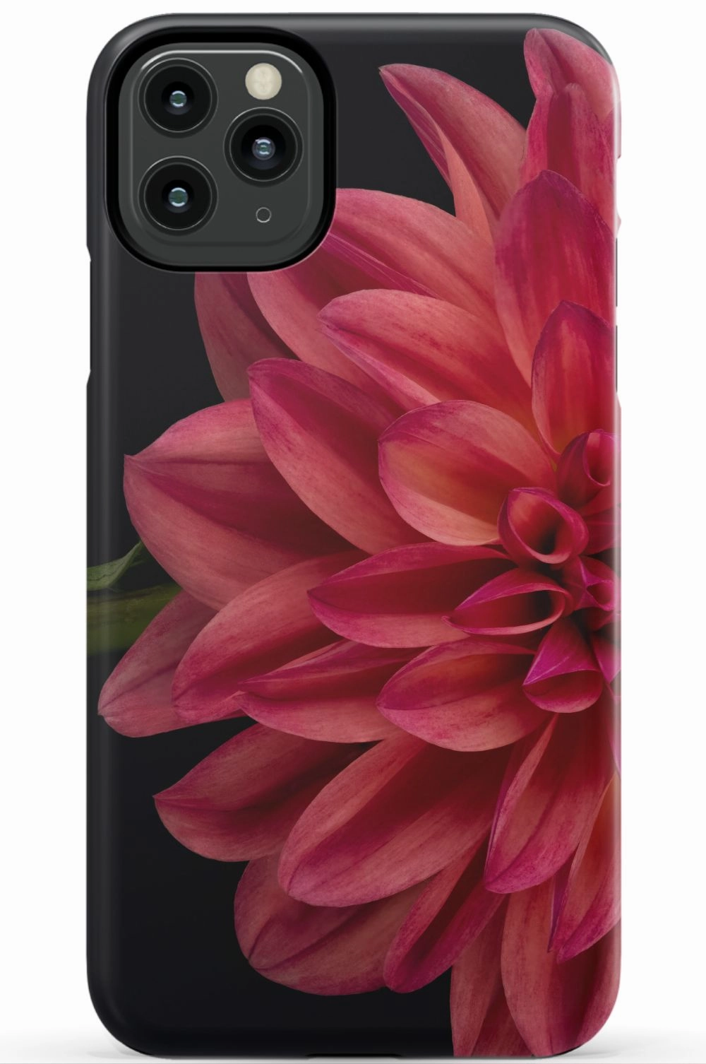 Vibrant Phone Case