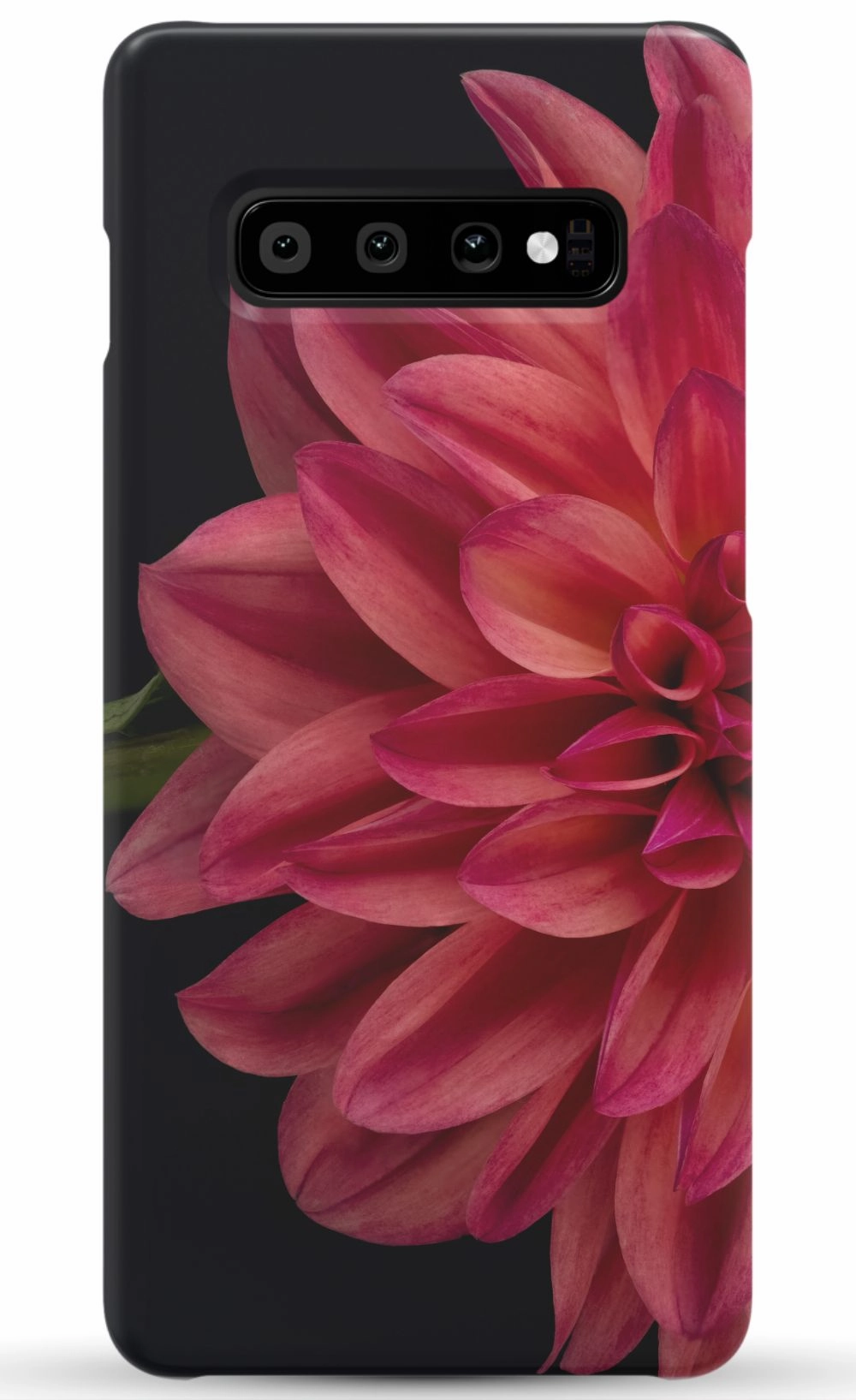 Vibrant Phone Case