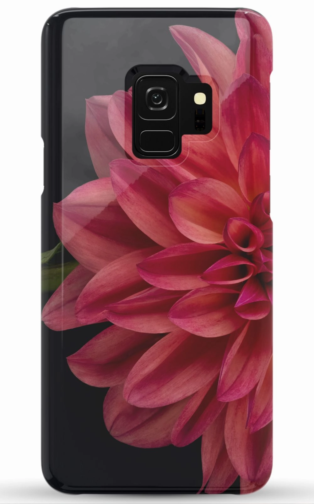 Vibrant Phone Case