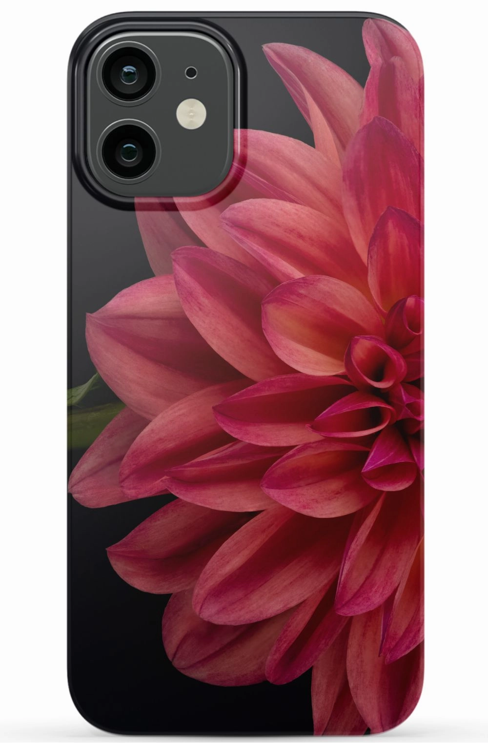 Vibrant Phone Case