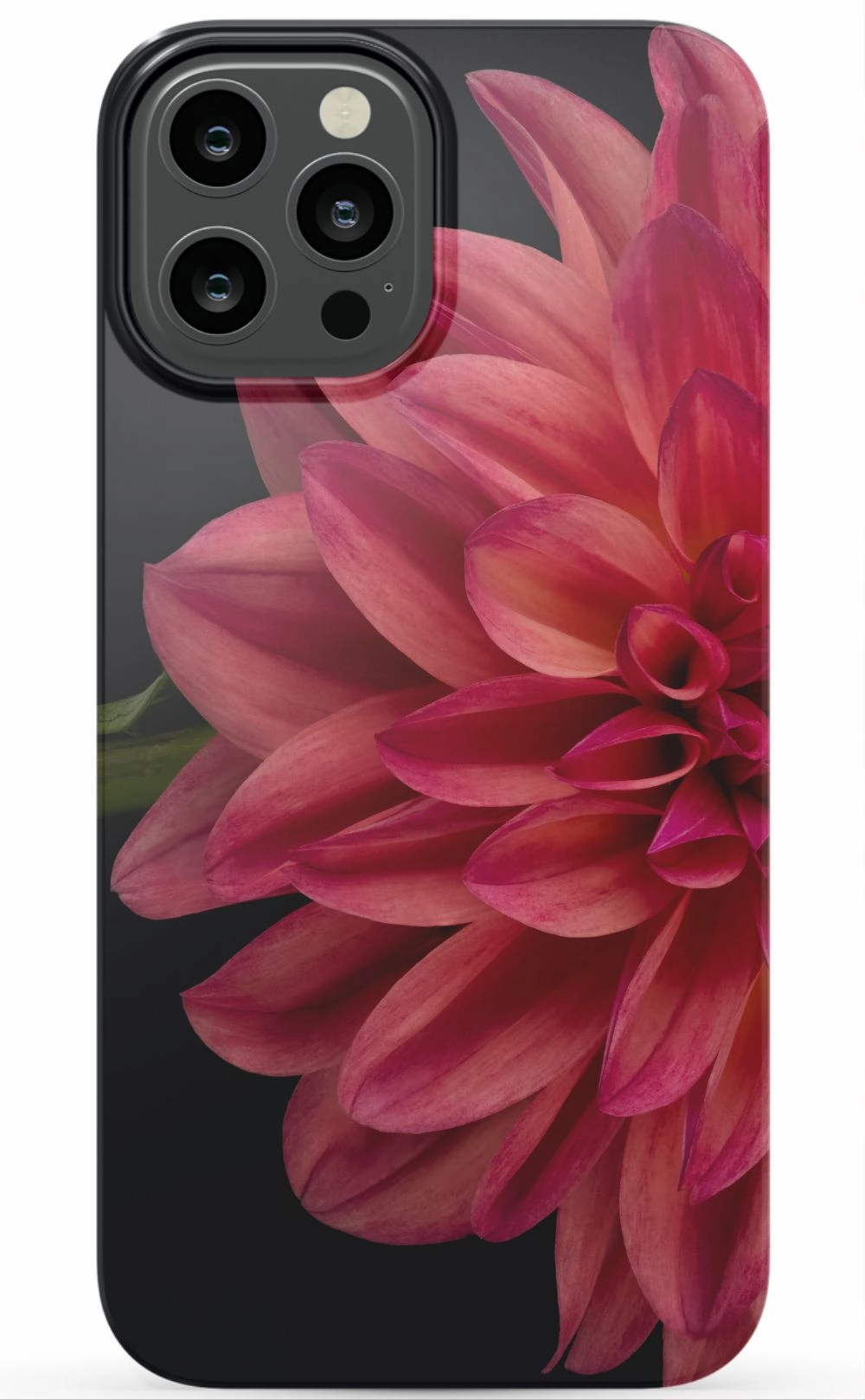 Vibrant Phone Case
