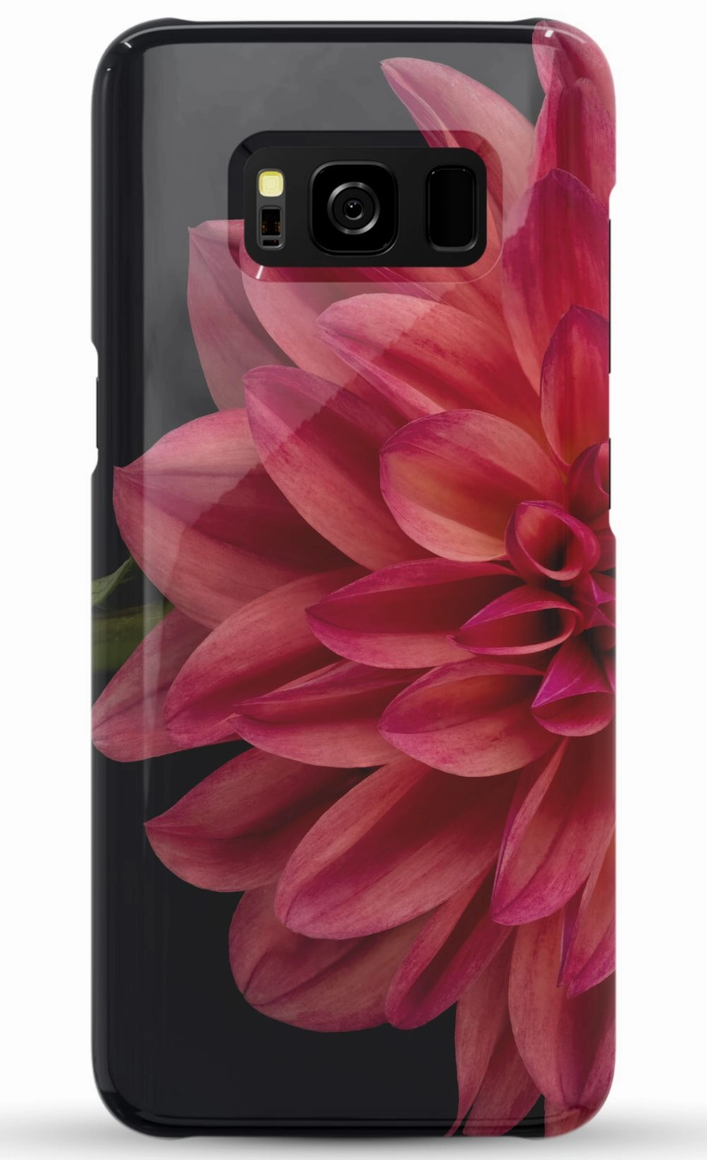 Vibrant Phone Case
