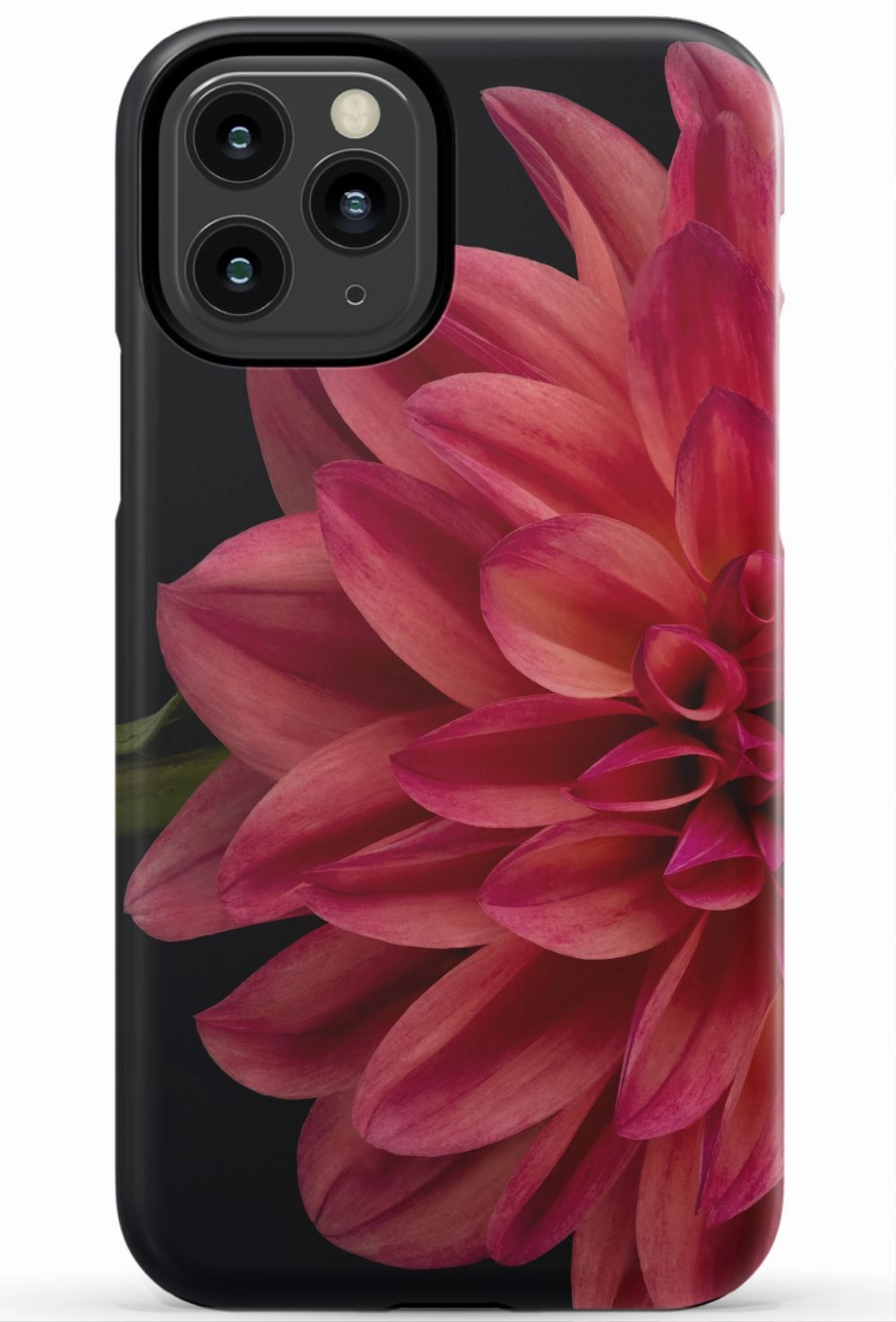 Vibrant Phone Case
