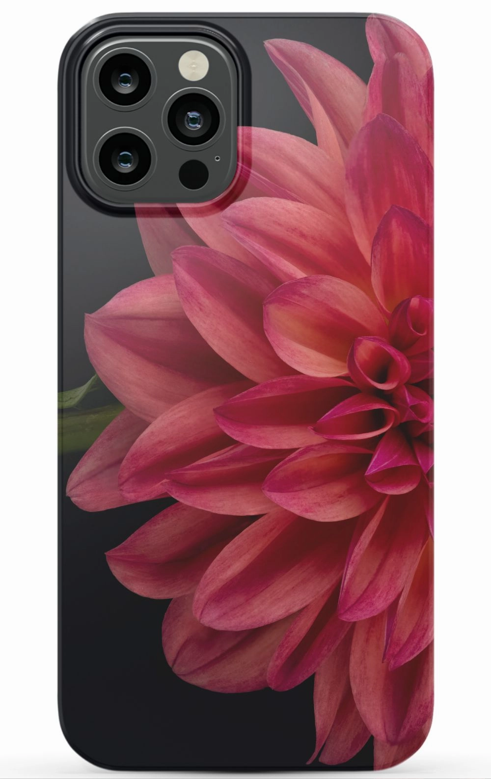 Vibrant Phone Case