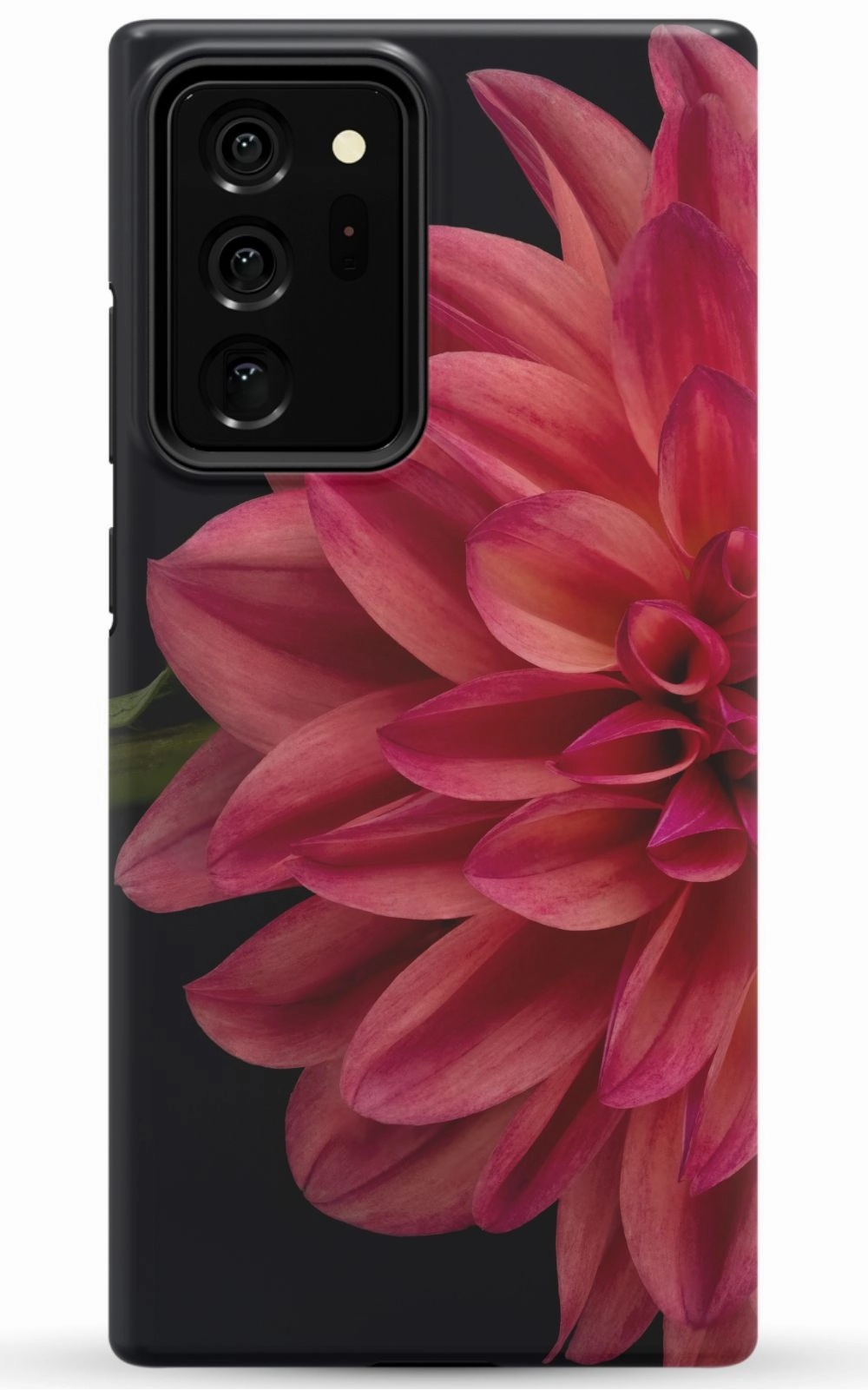 Vibrant Phone Case