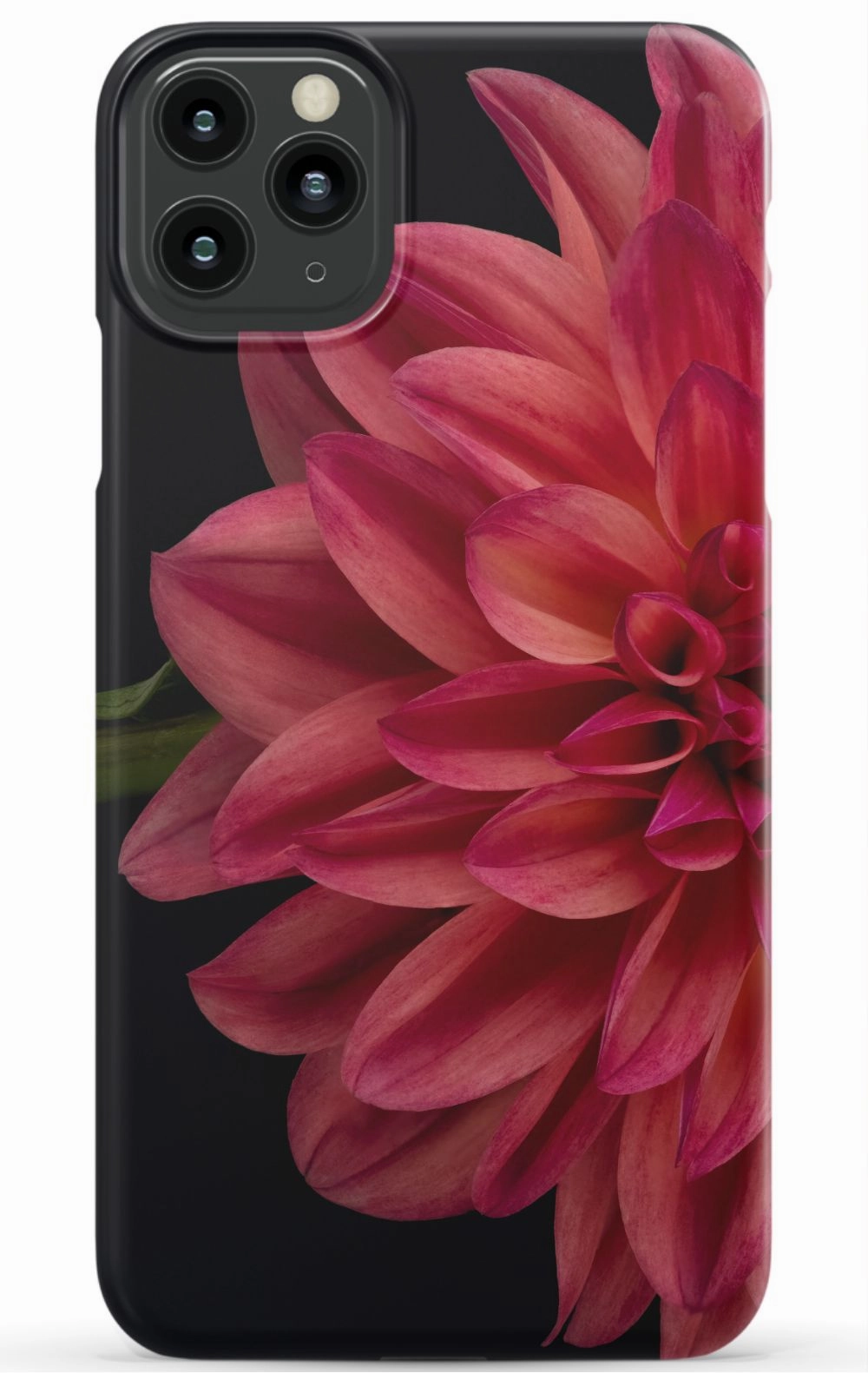 Vibrant Phone Case