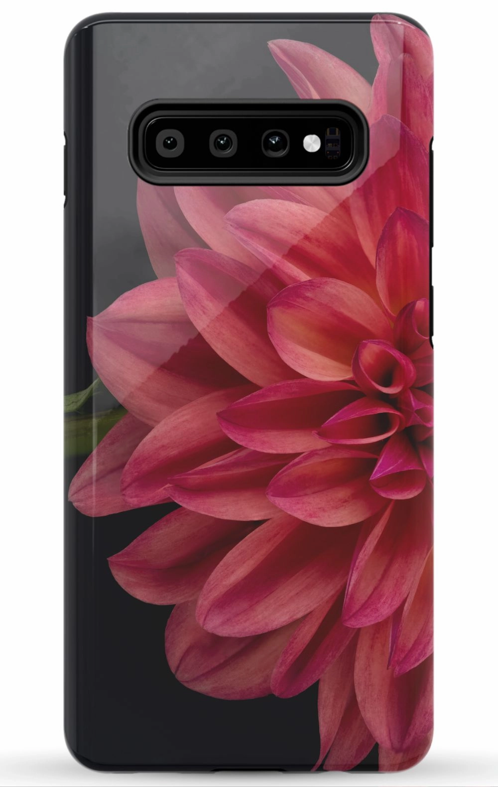 Vibrant Phone Case